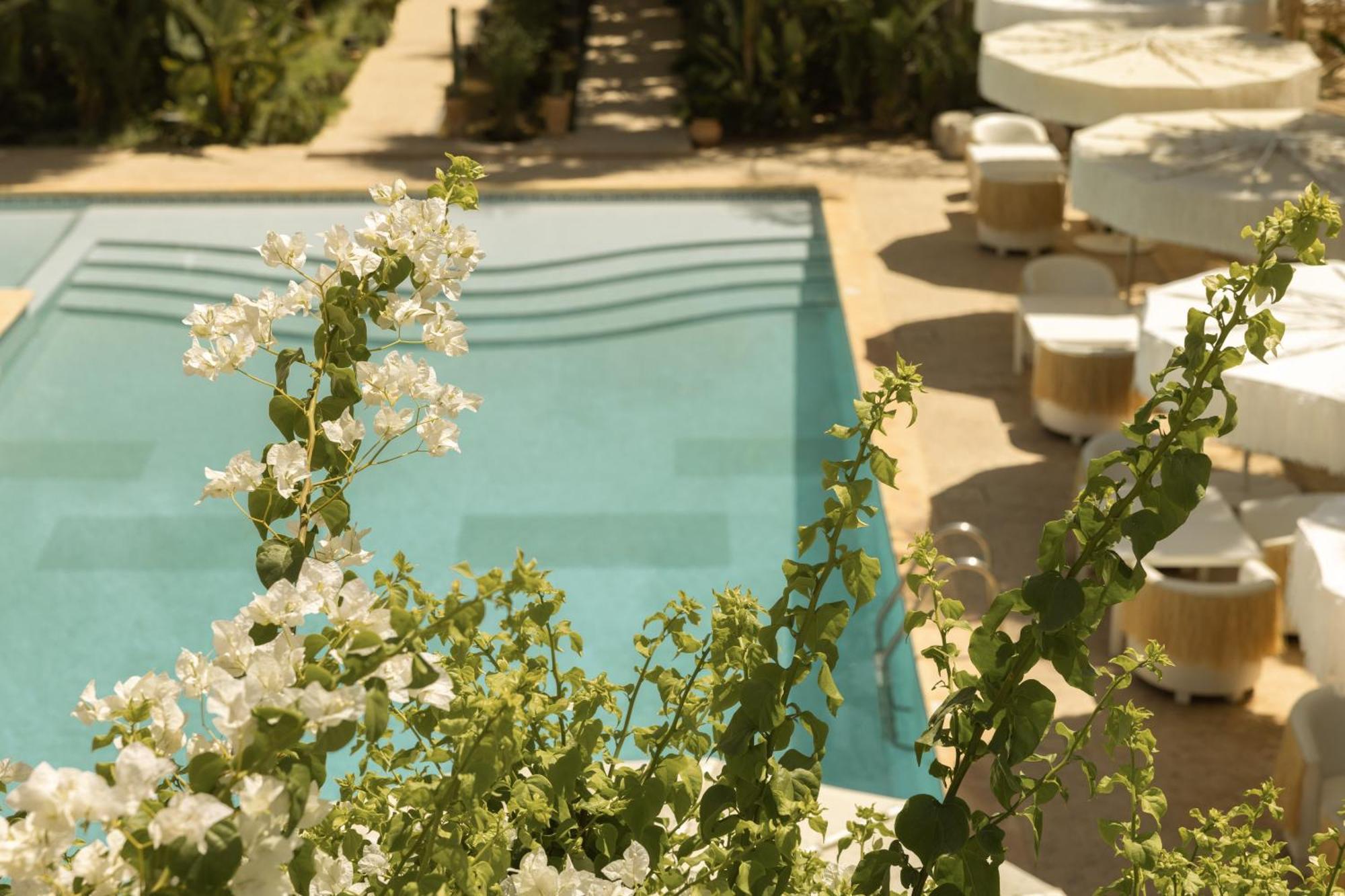 Les Palmiers Boutique Hotel & Spa มาร์ราเกช ภายนอก รูปภาพ
